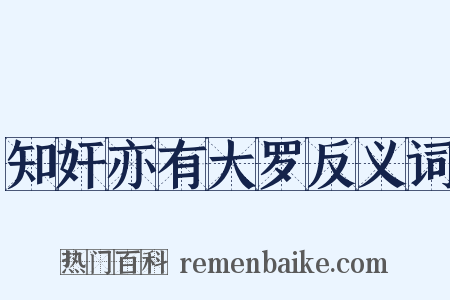 知奸亦有大罗反义词是什么意思的图片